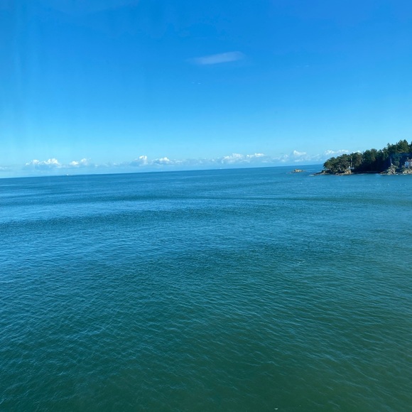 Meet your Posher, Tamara - Picture 6 of 7